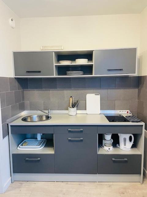 Le Geneslay - Parking Privee Appartement